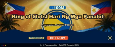 Premium Casino Gaming Experience